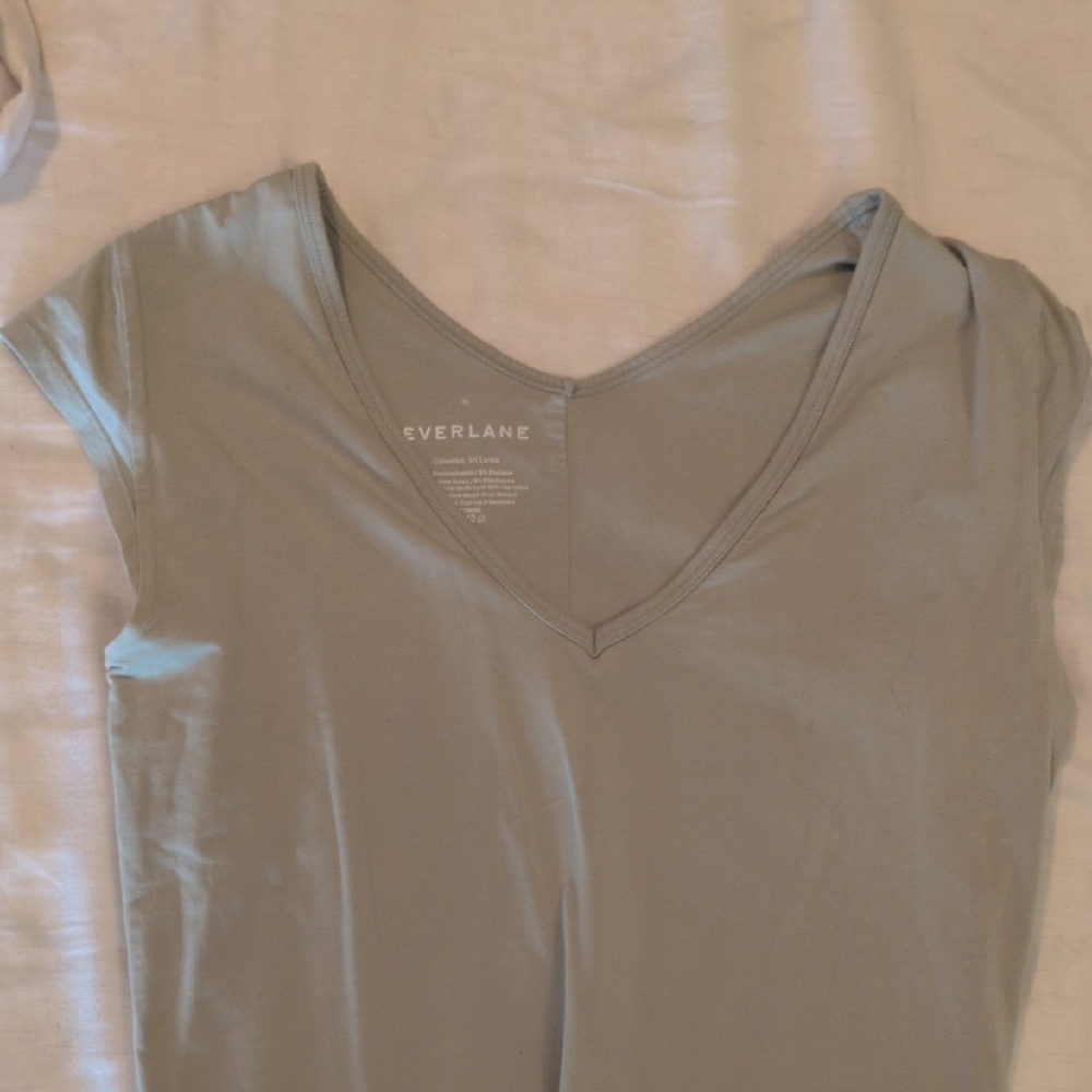 Everlane Light Gray/Green V-Neck Tee